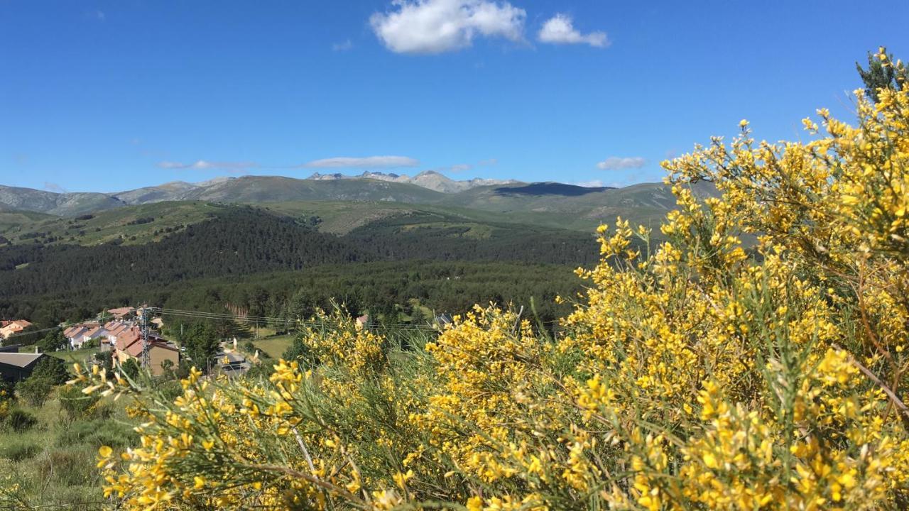 Cara Norte De Gredos Hoyos del Espino Extérieur photo