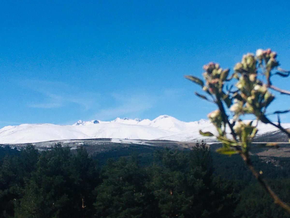 Cara Norte De Gredos Hoyos del Espino Extérieur photo